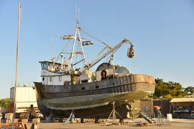 DSC_7232 (Large).JPG